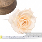 Petershams Millinery Supplies Mandy asymmetric cream fabric flower hat mount with wired stem for millinery projects.