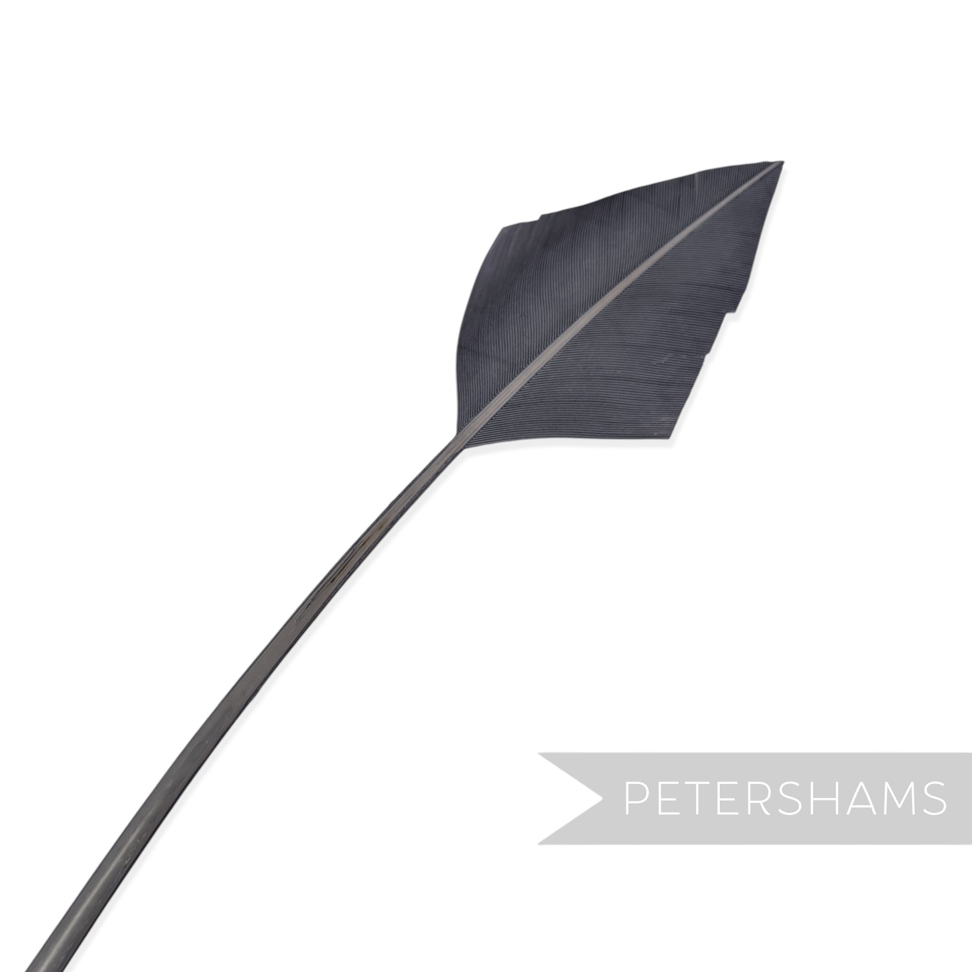 Petershams Millinery Supplies dark grey arrowhead turkey quill feather for hat and fascinator decoration