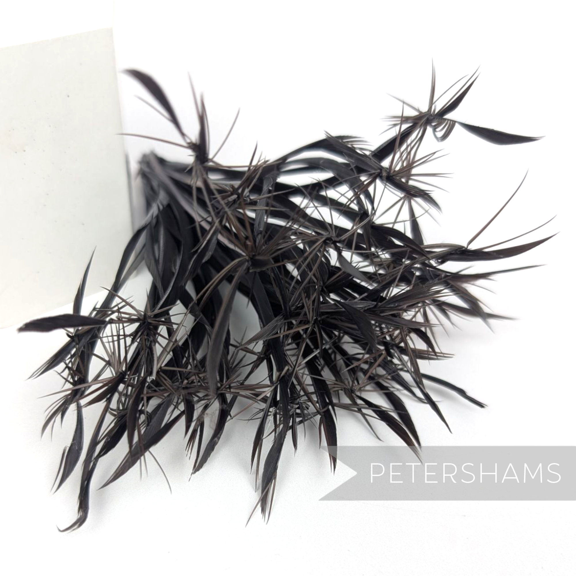 Petershams Millinery Supplies black goose biot feather firework mount for hat making and millinery projects
