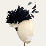Petershams Millinery Supplies large black and ivory coque feather hat mount