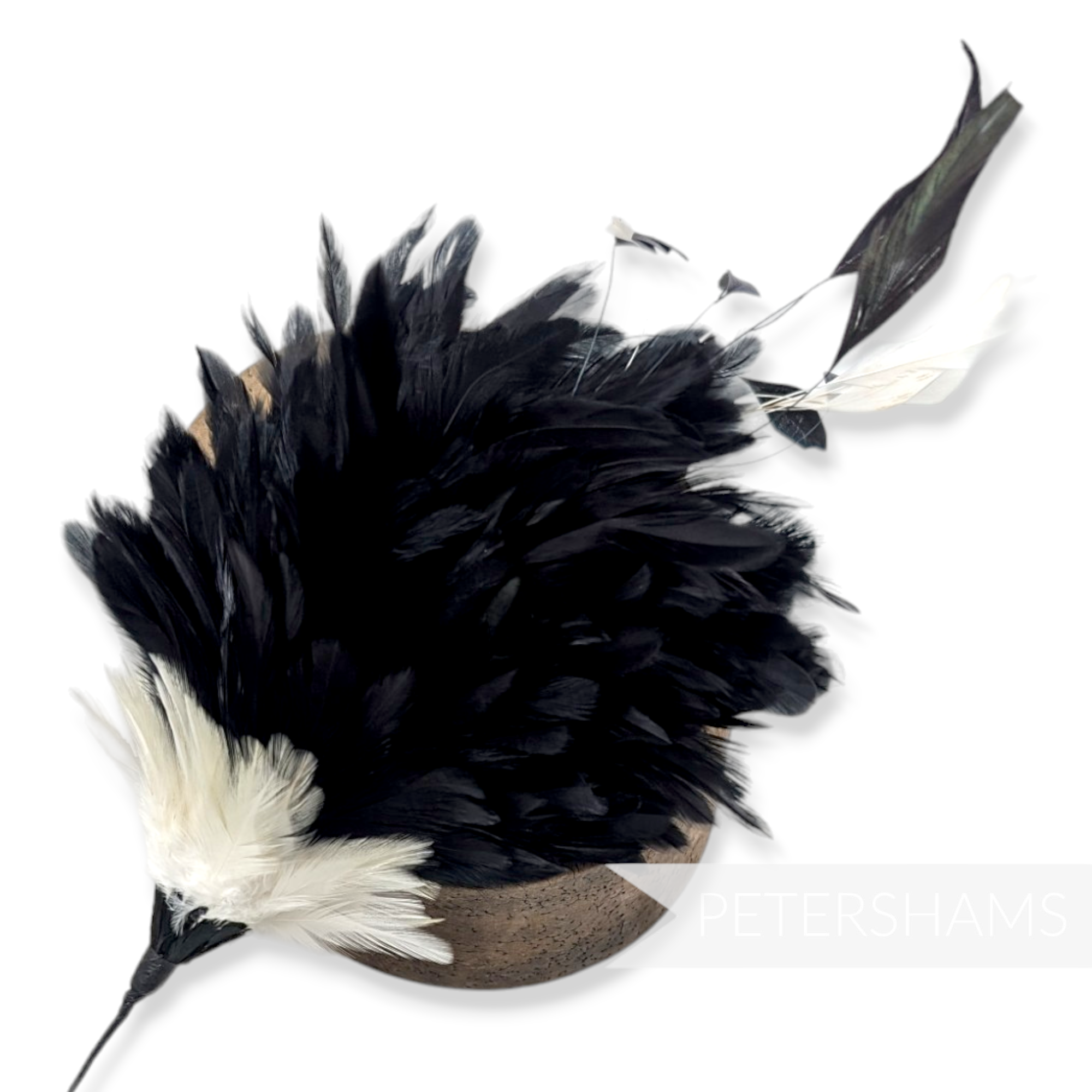 Petershams Millinery Supplies large black and ivory coque feather hat mount with iridescent sheen and wire stem