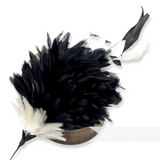 Petershams Millinery Supplies large black and ivory coque feather hat mount with iridescent sheen and wire stem