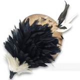 Petershams Millinery Supplies large fluffy black and ivory coque feather hat mount with iridescent sheen