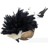 Petershams Millinery Supplies large black and ivory coque feather hat mount with iridescent sheen