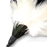 Petershams Millinery Supplies large black and ivory coque feather hat mount with iridescent sheen and wire stem