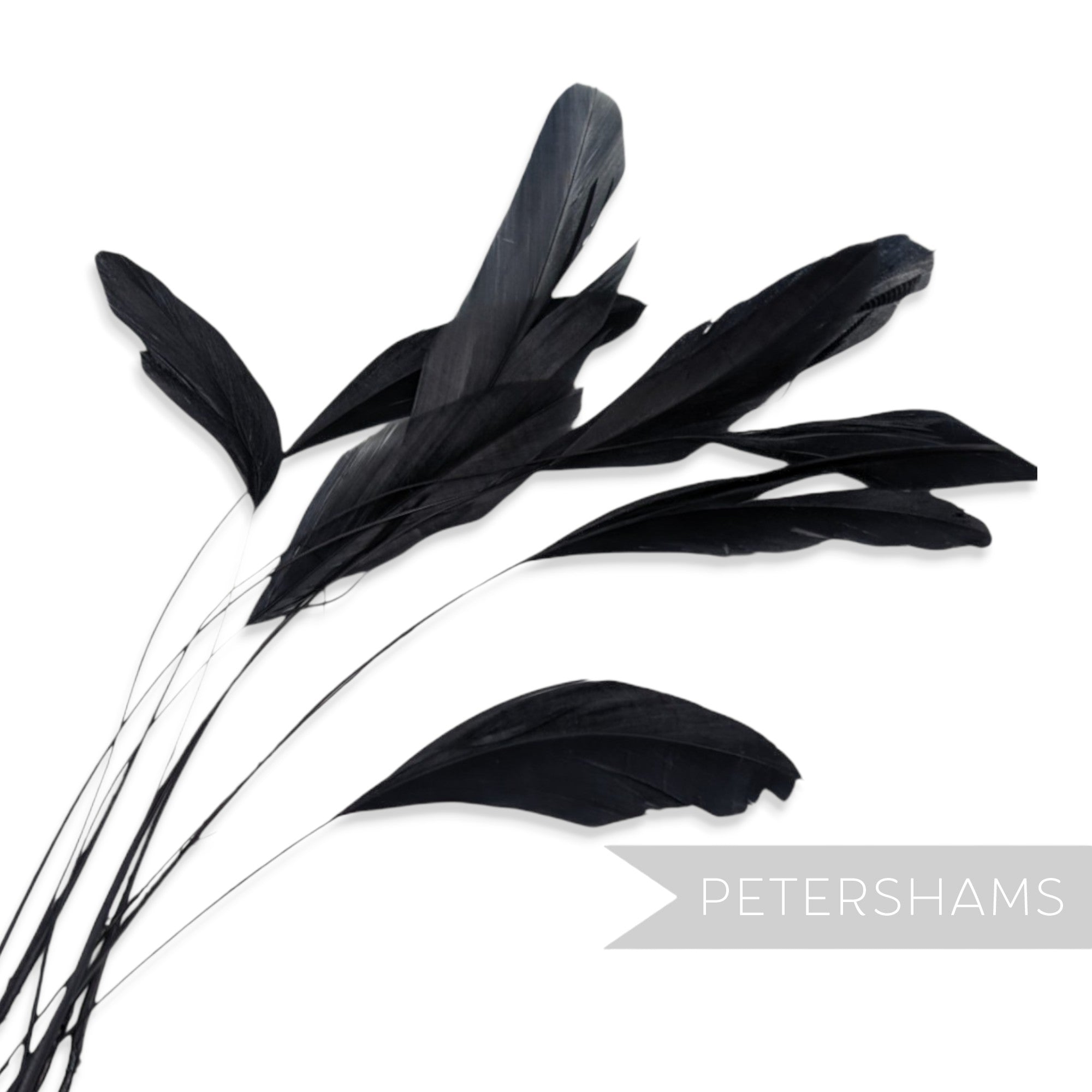 Petershams Millinery Supplies pack of 10 long black stripped coque feathers for millinery and fascinator making