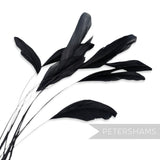 Petershams Millinery Supplies pack of 10 long black stripped coque feathers for millinery and fascinator making