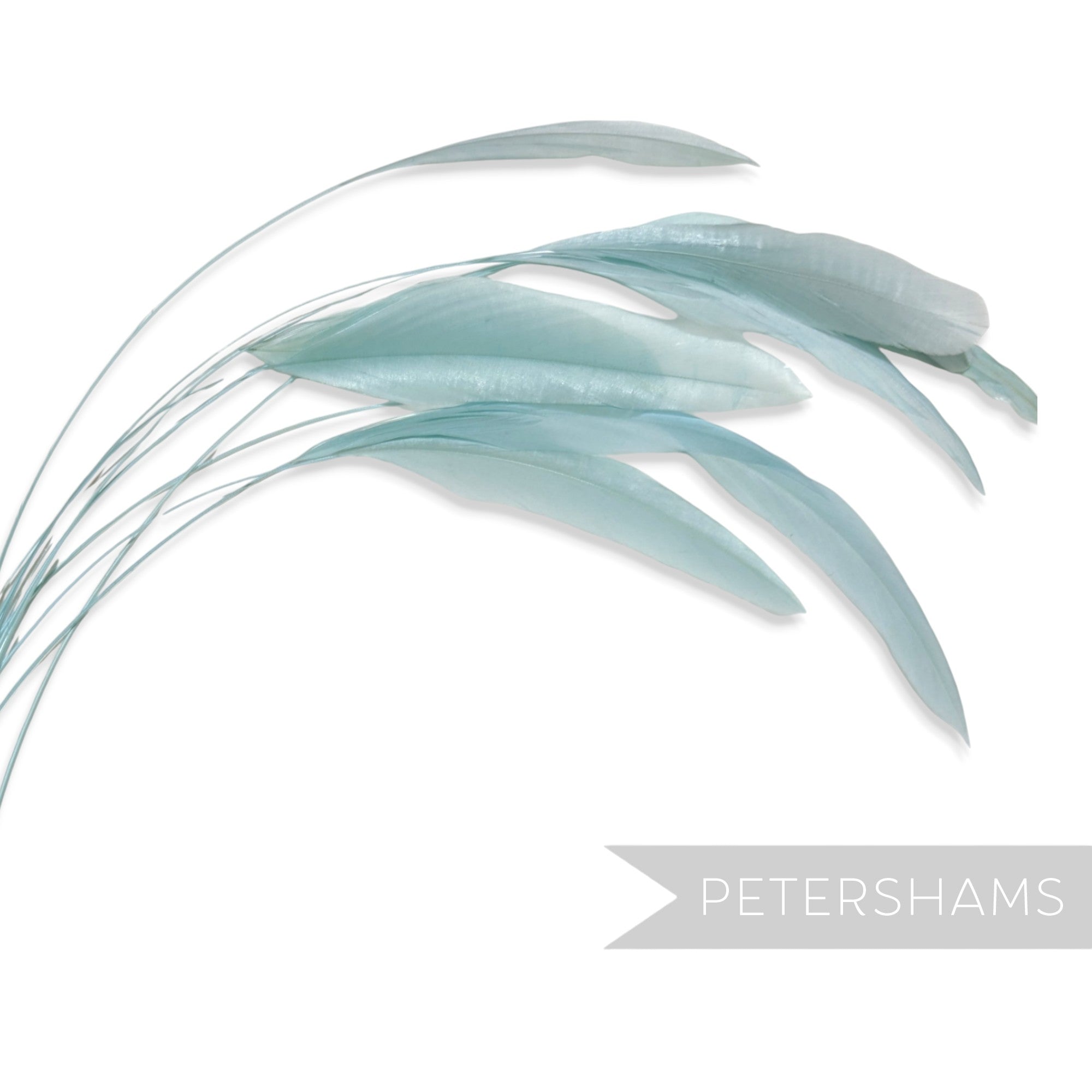 Petershams Millinery Supplies long loose light blue stripped coque feathers for fascinators and millinery projects