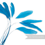 Petershams Millinery Supplies bright blue stripped coque feathers for millinery and fascinator making