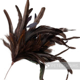 Petershams Millinery Supplies extra large brown chinchilla pattern coque and hackle feather hat mount on wire