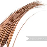 Petershams Millinery Supplies long latte stripped ostrich quill feather for hat making and millinery crafts