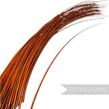 Petershams Millinery Supplies long brown stripped ostrich quill feather for millinery and hat making projects.