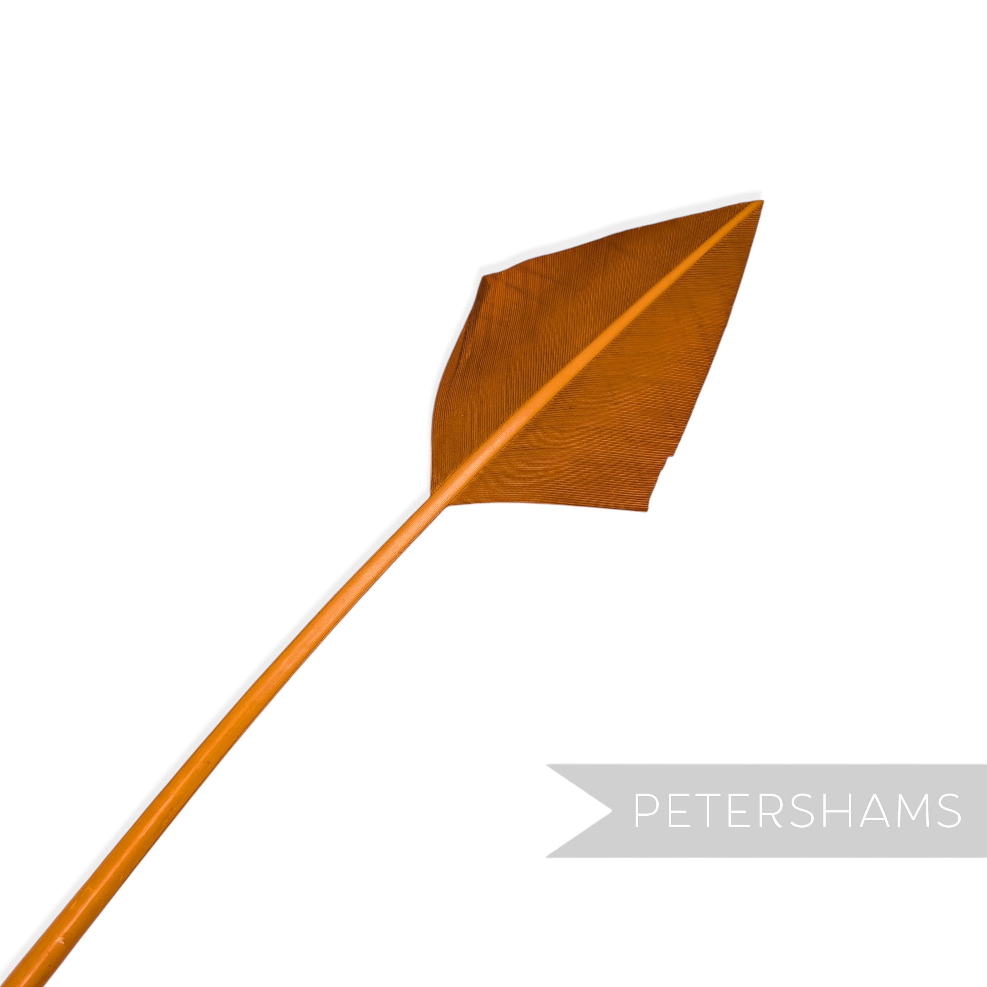 Petershams Millinery Supplies burnt orange arrowhead turkey quill feather for hats and fascinators