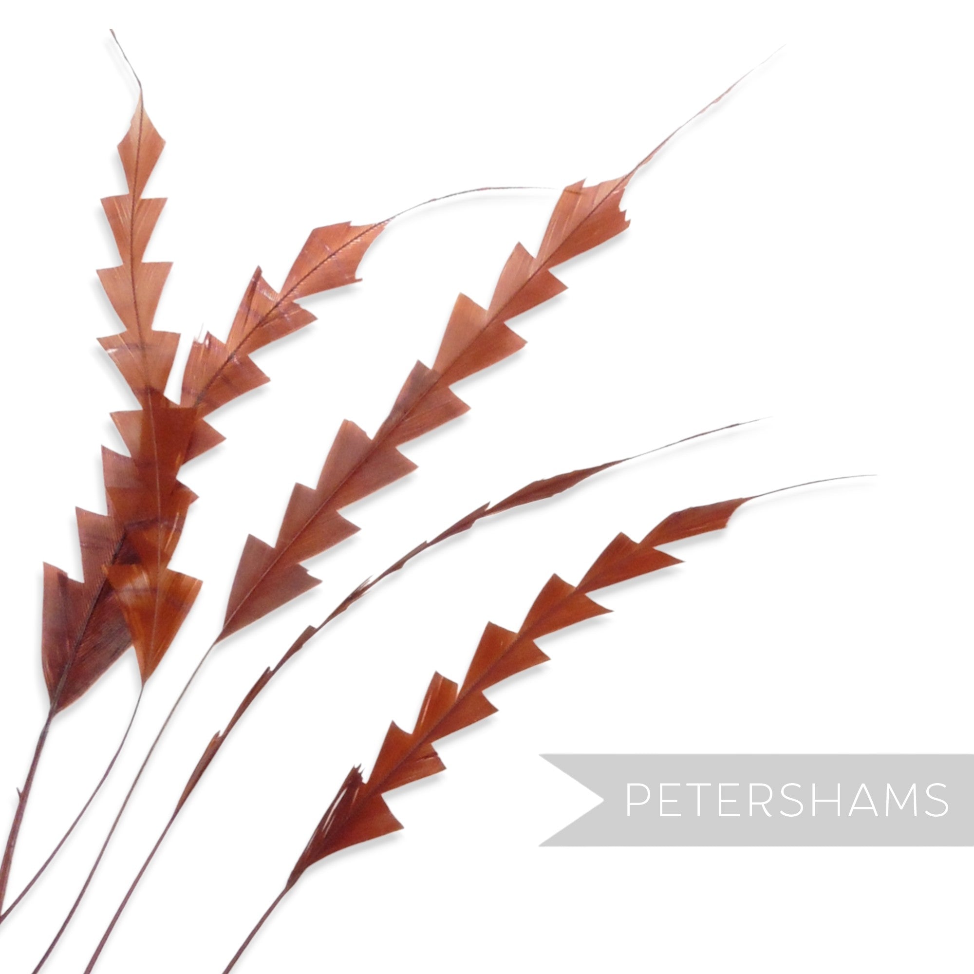 Petershams Millinery Supplies brown coque feathers hand-trimmed into a decorative zig zag pattern for hat making