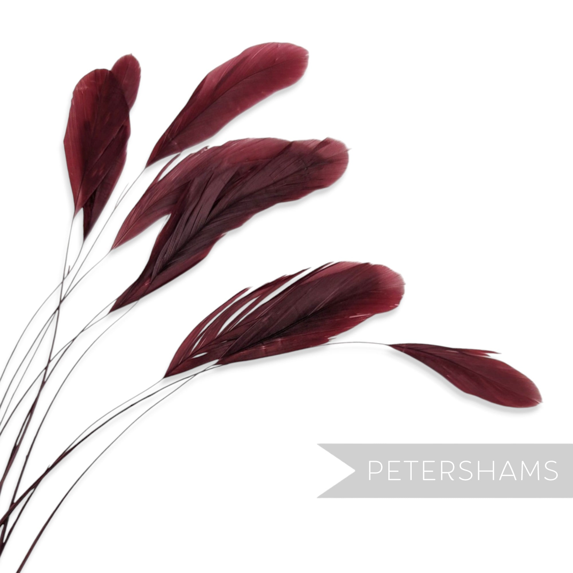Petershams Millinery Supplies long loose burgundy stripped coque feathers for millinery and fascinator making