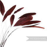 Petershams Millinery Supplies long loose dark red stripped coque feathers for millinery and fascinator making