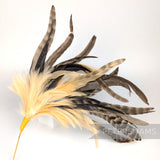 Petershams Millinery Supplies extra large feather hat mount with chinchilla pattern coque, stripped, and hackle plumes.