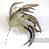 Petershams Millinery Supplies extra large chinchilla pattern coque and hackle feather hat mount on a wire stem