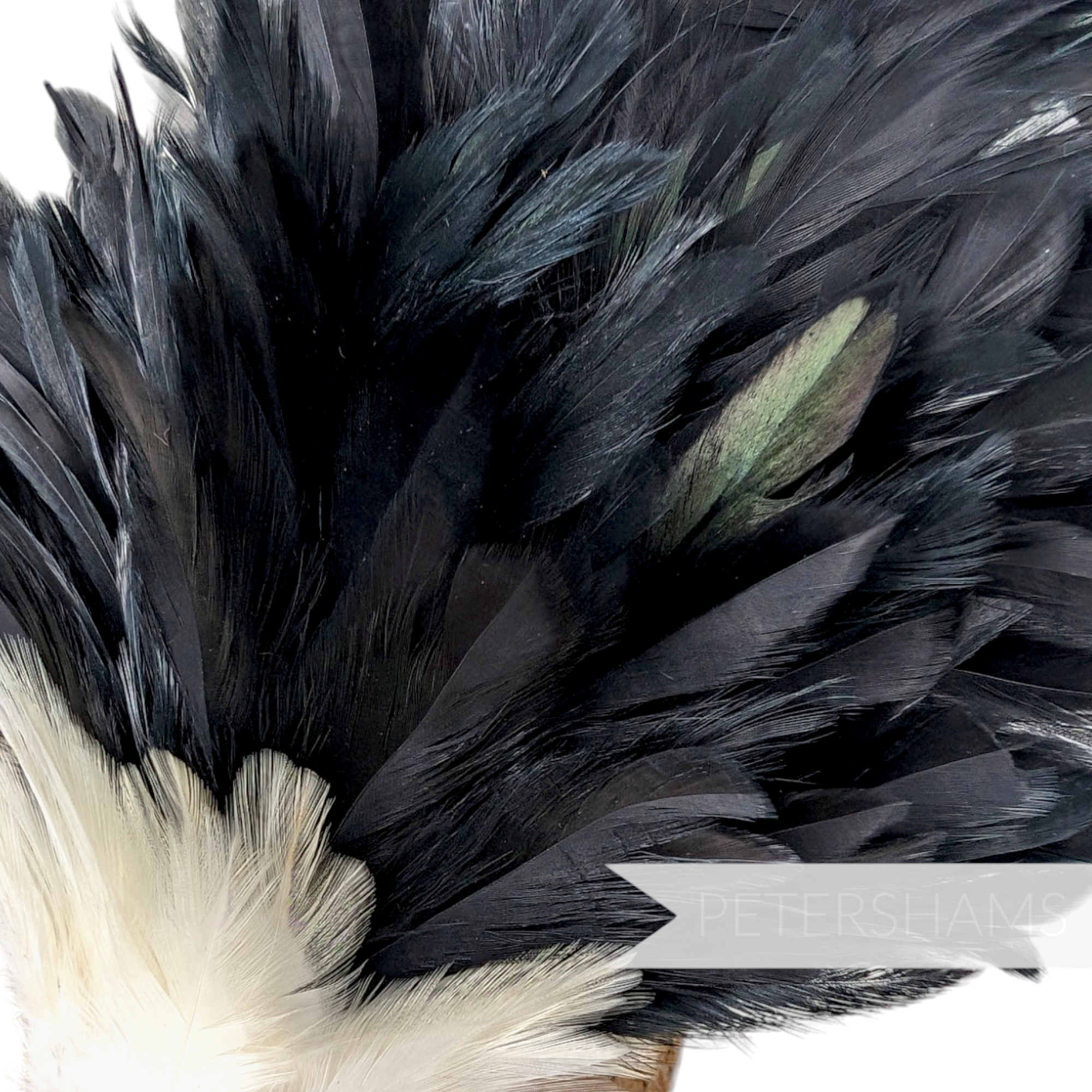 Petershams Millinery Supplies large fluffy black and ivory coque feather hat mount with iridescent sheen