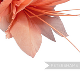 Petershams Millinery Supplies coral stripped diamond coque and goose feather hat mount with wired stem