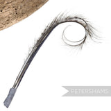 Petershams Millinery Supplies double burnt and curled pheasant feather hat mount with a wispy, delicate texture.