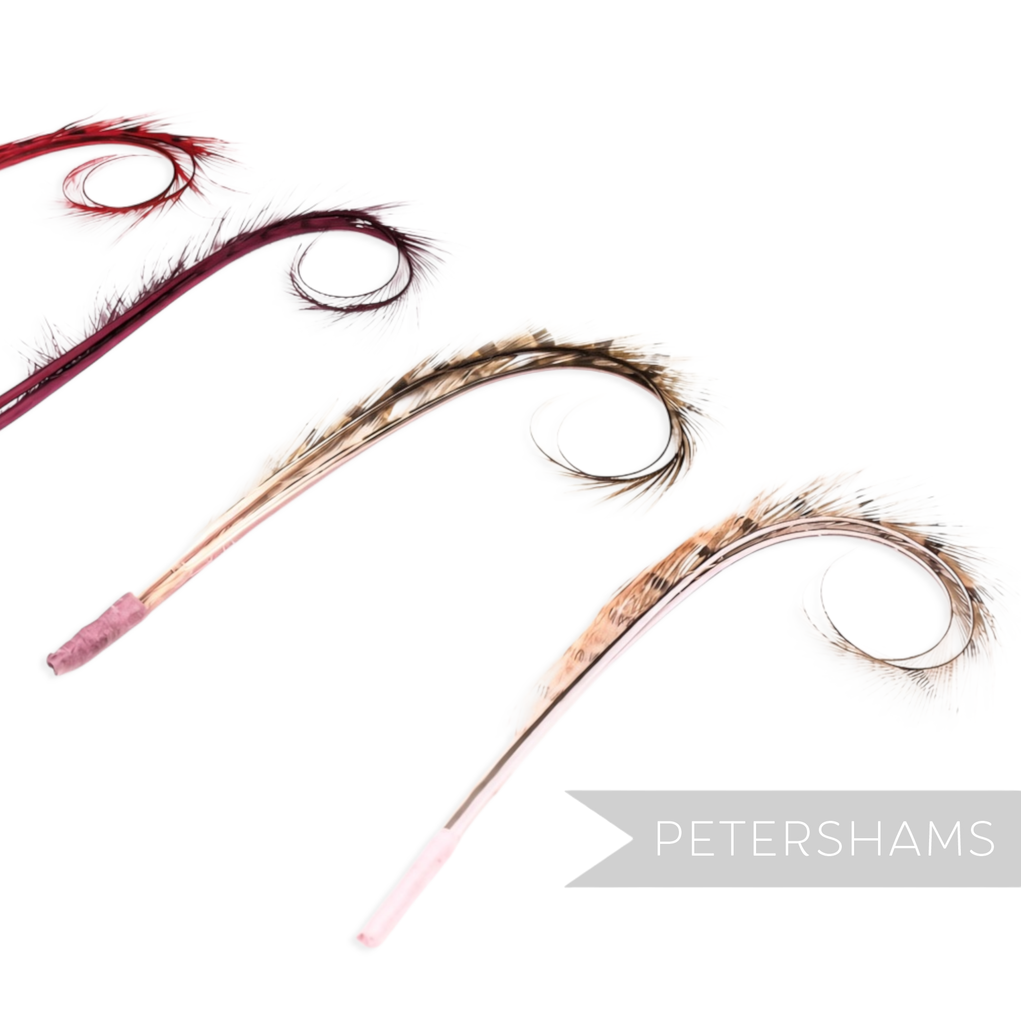 Petershams Millinery Supplies curled and burnt pheasant feather hat mounts in various dyed colours on white background