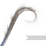 Petershams Millinery Supplies curled and burnt pheasant feather hat mount with wispy texture and blue dyed spine.