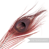 Petershams Millinery Supplies wine single dyed burgundy peacock eye feather for hat and fascinator trimming