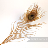 Petershams Millinery Supplies single dyed warm rust peacock eye feather for hat trimming and fascinators