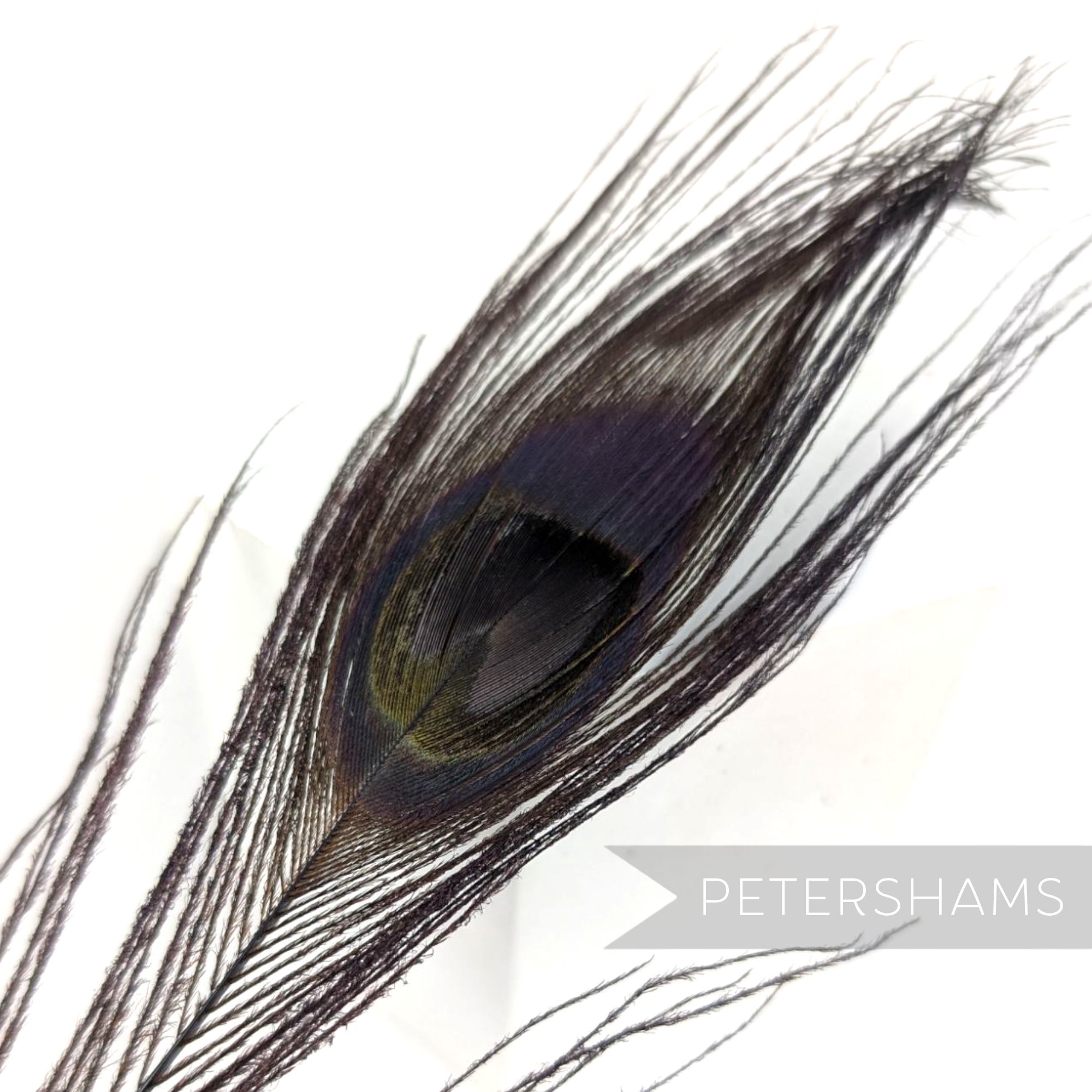 Petershams Millinery Supplies single dyed midnight peacock eye feather for hat and fascinator trimming