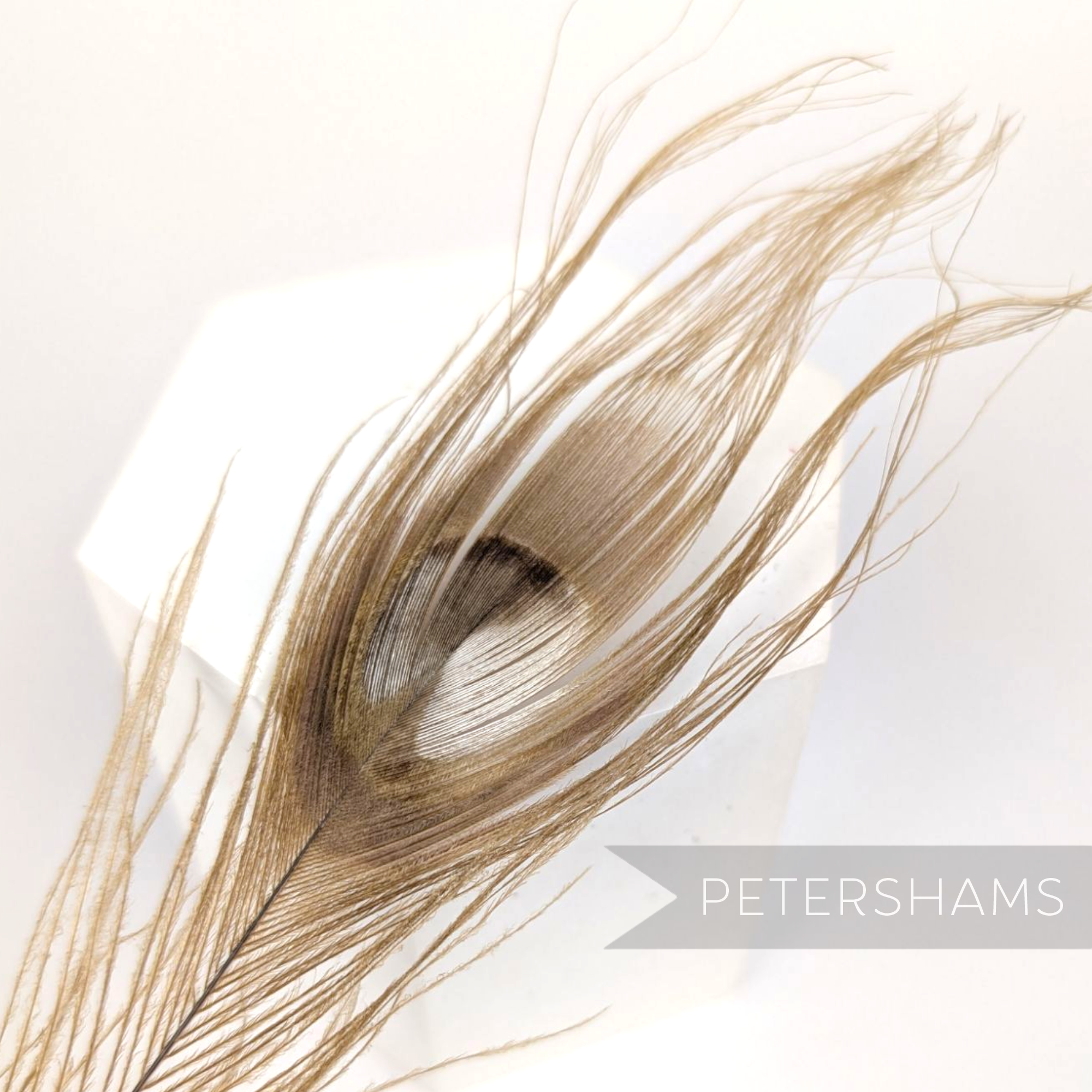 Petershams Millinery Supplies single bleached and dyed latte peacock eye feather for hat and fascinator trimming