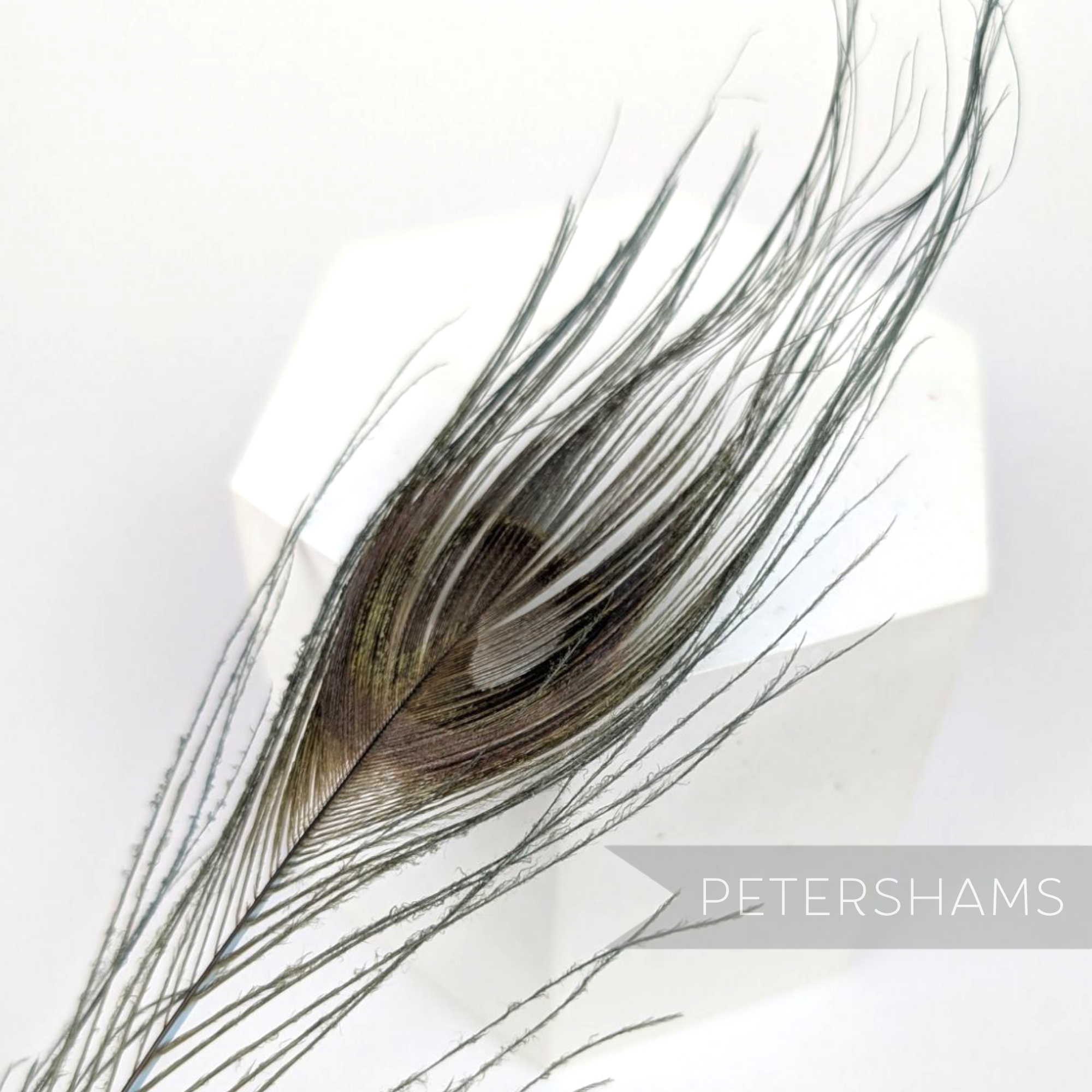 Petershams Millinery Supplies single dyed peacock eye feather, 25-30cm long, ideal for hat and fascinator trimming.
