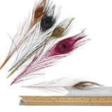 Petershams Millinery Supplies single dyed peacock eye feathers in assorted vibrant colours for hat making
