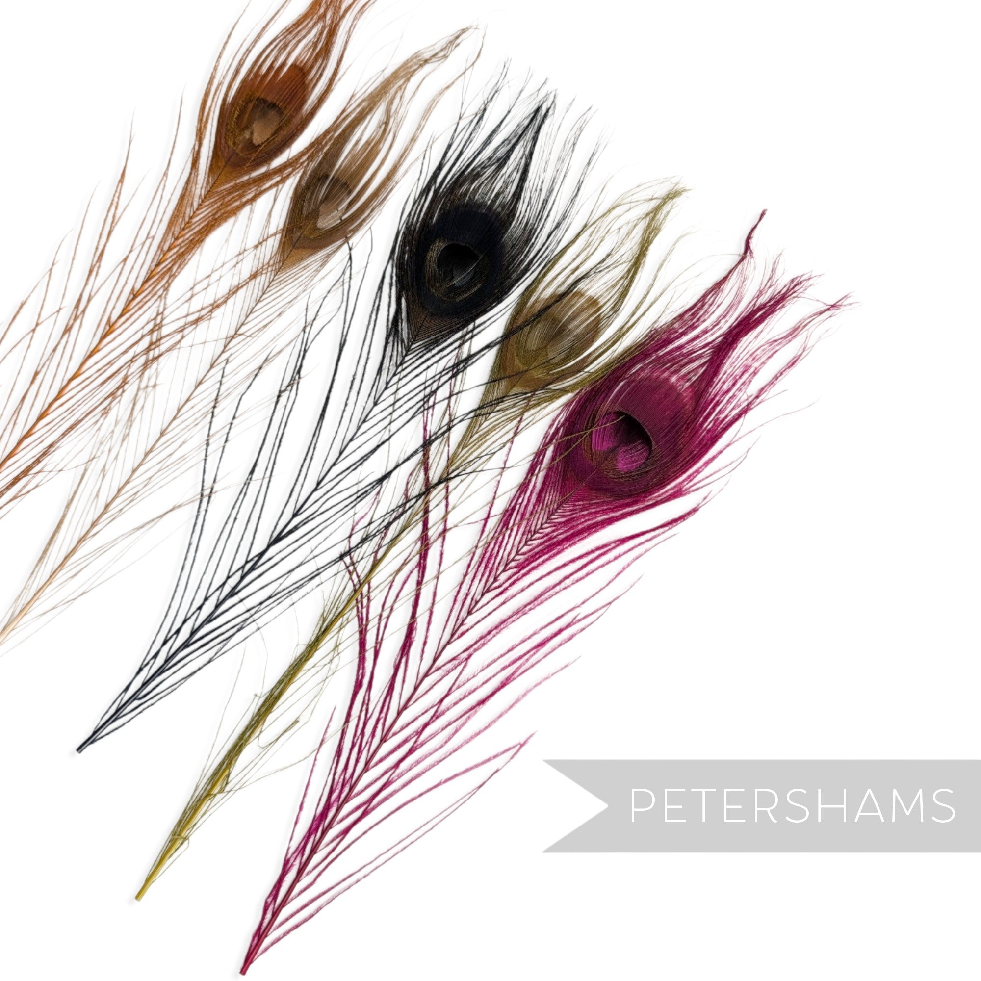 Petershams Millinery Supplies single dyed peacock eye feathers in assorted vibrant colours for hat and fascinator trim