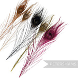 Petershams Millinery Supplies single dyed peacock eye feathers in assorted vibrant colours for hat and fascinator trim