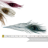 Petershams Millinery Supplies single dyed peacock eye feathers in various vibrant colors with a measuring tape