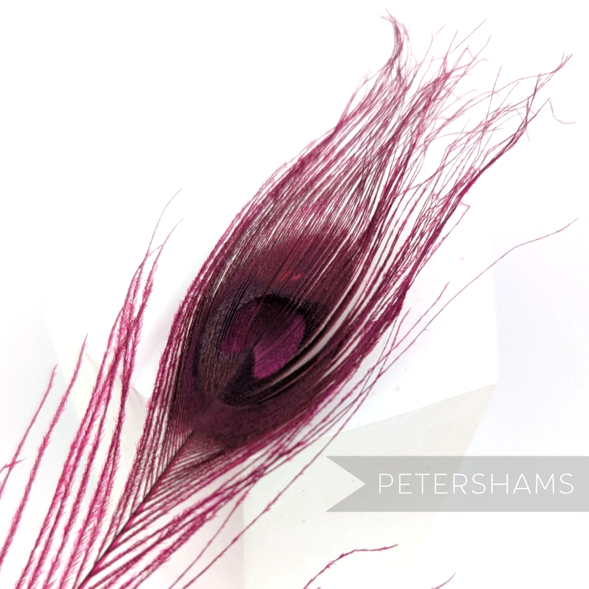 Petershams Millinery Supplies single dyed deep cerise peacock eye feather for hat and fascinator trimming