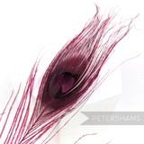 Petershams Millinery Supplies single dyed deep cerise peacock eye feather for hat and fascinator trimming