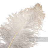 Petershams Millinery Supplies extra large prime ostrich feather in a soft neutral pale grey tone for dramatic millinery design