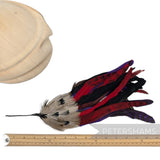 Petershams Millinery Supplies large red and purple chinchilla coque and pheasant feather hat mount with wire base.