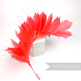 Petershams Millinery Supplies large coral spiky goose feather wired hat mount for millinery and headpiece design.