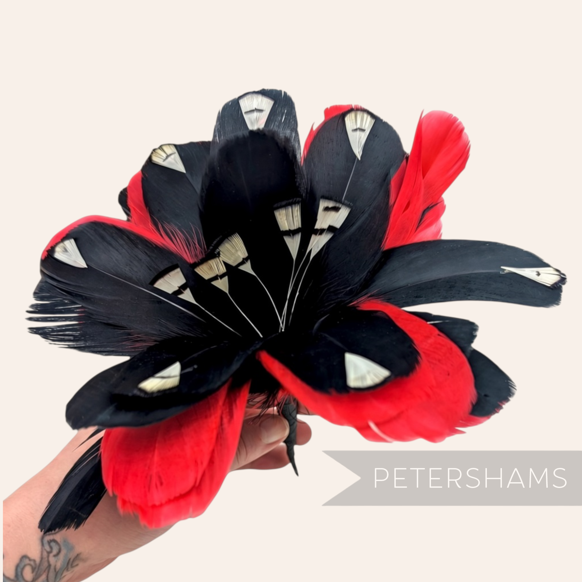 Petershams Millinery Supplies large feather hat mount with black and red goose nagorie and french partridge feathers.