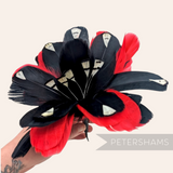 Petershams Millinery Supplies large feather hat mount with black and red goose nagorie and french partridge feathers.