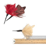 Petershams Millinery Supplies ostrich and goose feather hat mounts in red, brown, and cream with wired stems.