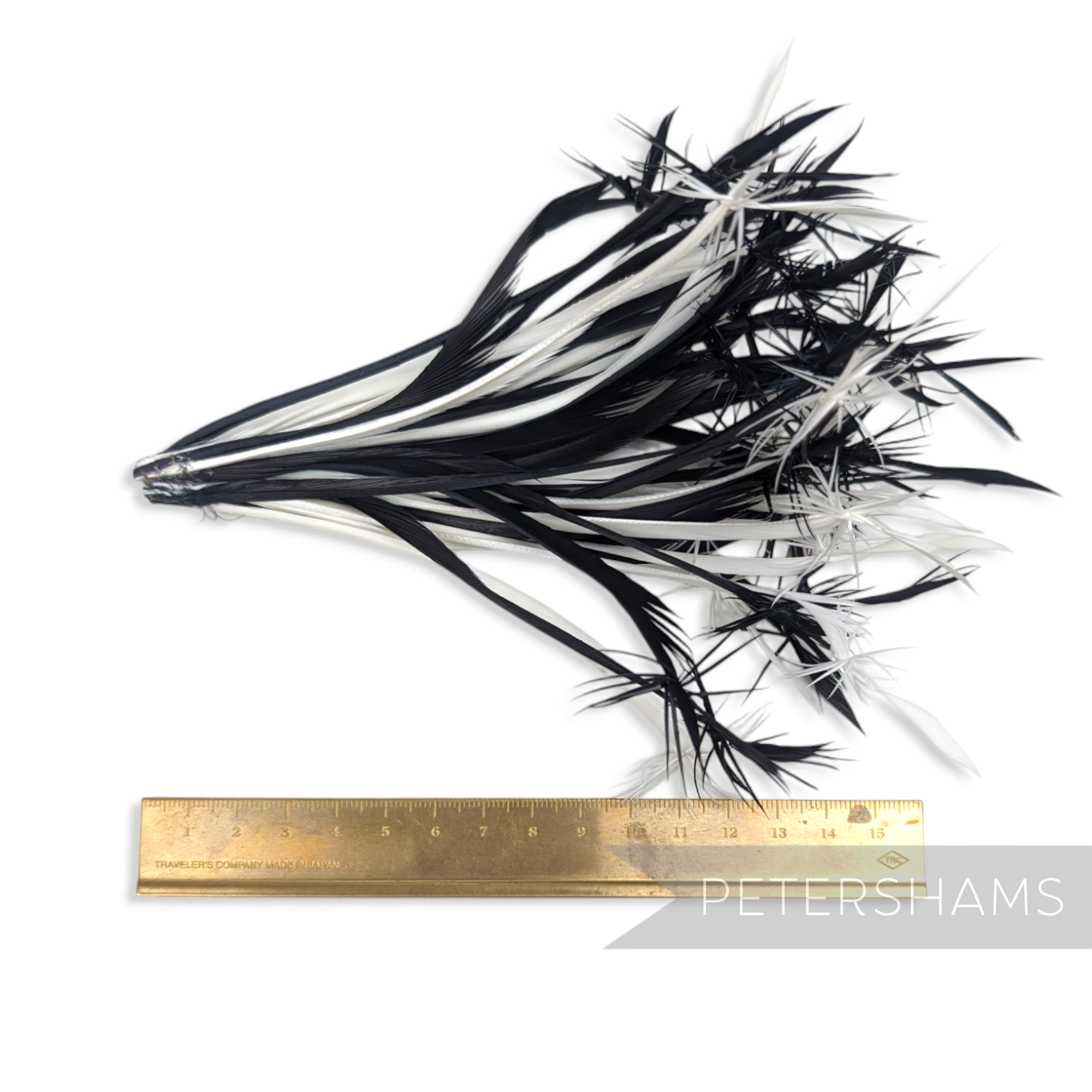 Petershams Millinery Supplies black and white goose biot feather firework mount measuring 14-16cm long.