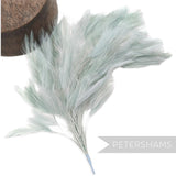 Petershams Millinery Supplies large pale green stripped hackle feather mount on a wired stem for hat decoration.