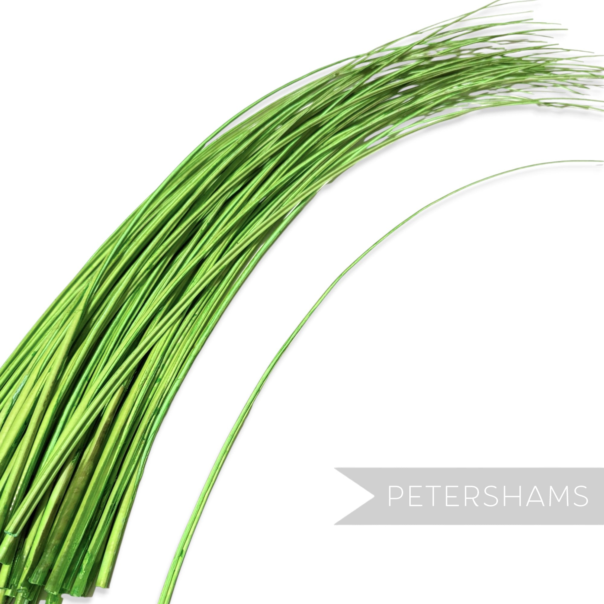 Petershams Millinery Supplies bright green stripped ostrich quill feather for hat making and millinery projects.