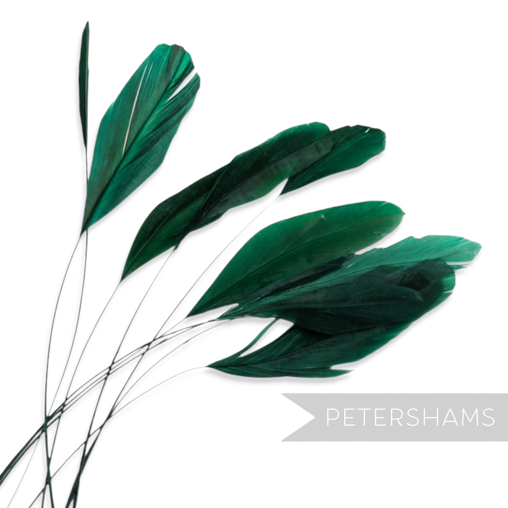 Petershams Millinery Supplies pack of 10 long loose emerald green stripped coque feathers for millinery and fascinators