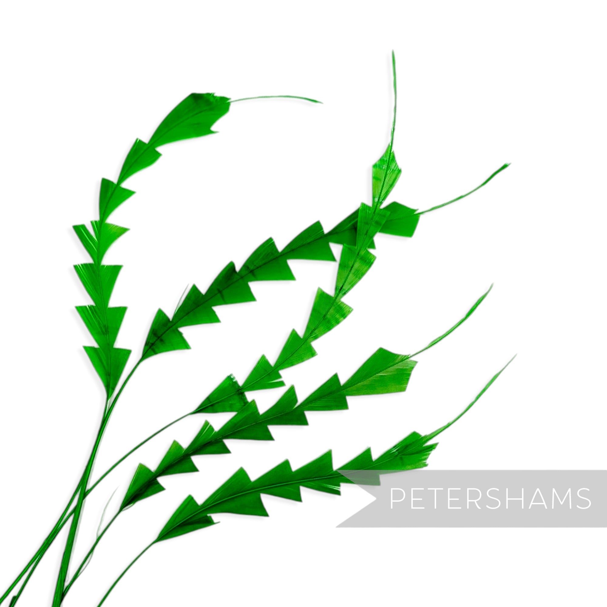 Petershams Millinery Supplies green zig zag coque feathers for hat making and millinery projects