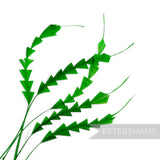 Petershams Millinery Supplies green zig zag coque feathers for hat making and millinery projects